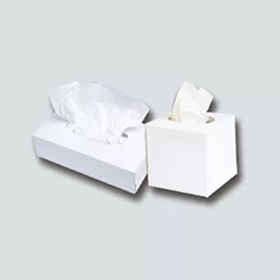 Qu'est-ce qui fait du tissu facial en boîte le choix intelligent pour un usage quotidien?